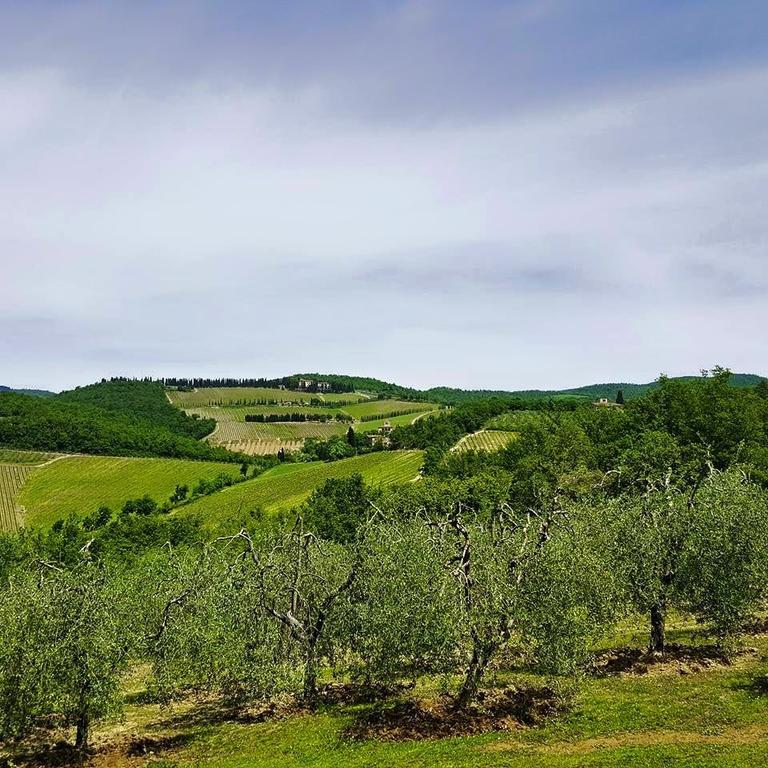 Holiday House Le Selvole Radda in Chianti Habitación foto